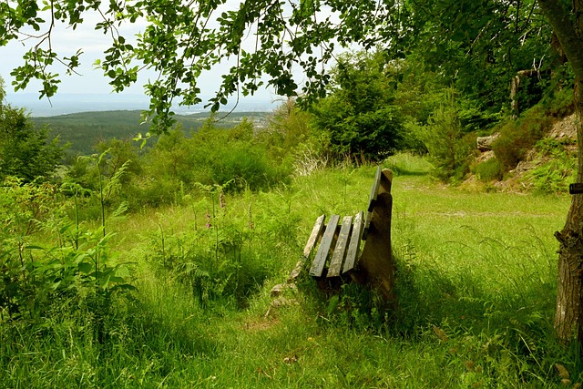 如此特别 如此特别