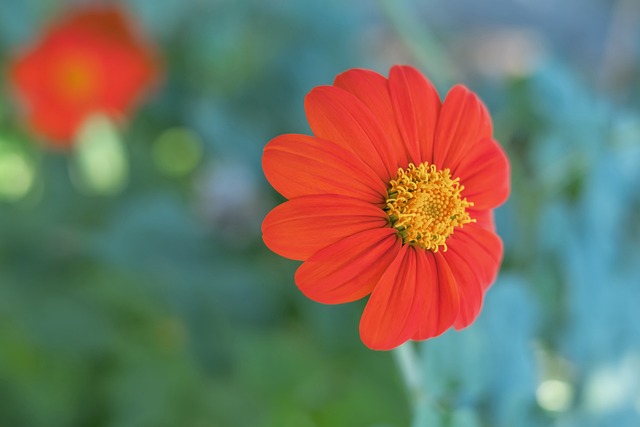 与快速成长 与快速成长