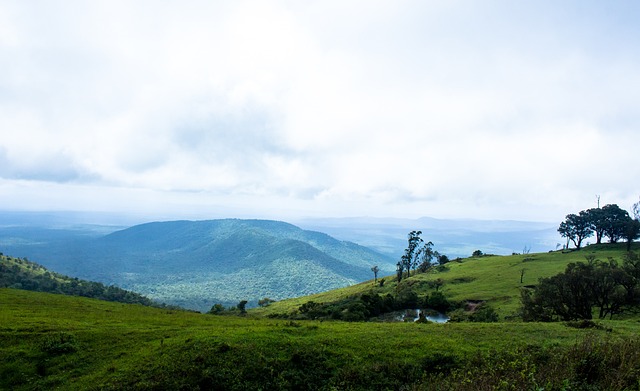 慧的交锋 慧的交锋