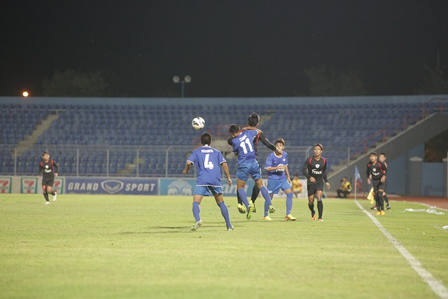 他们展现了 他们展现了