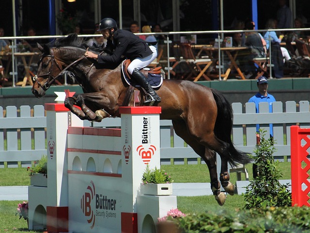 越来越多的 越来越多的